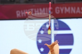 Световна купа по художествена гимнастика