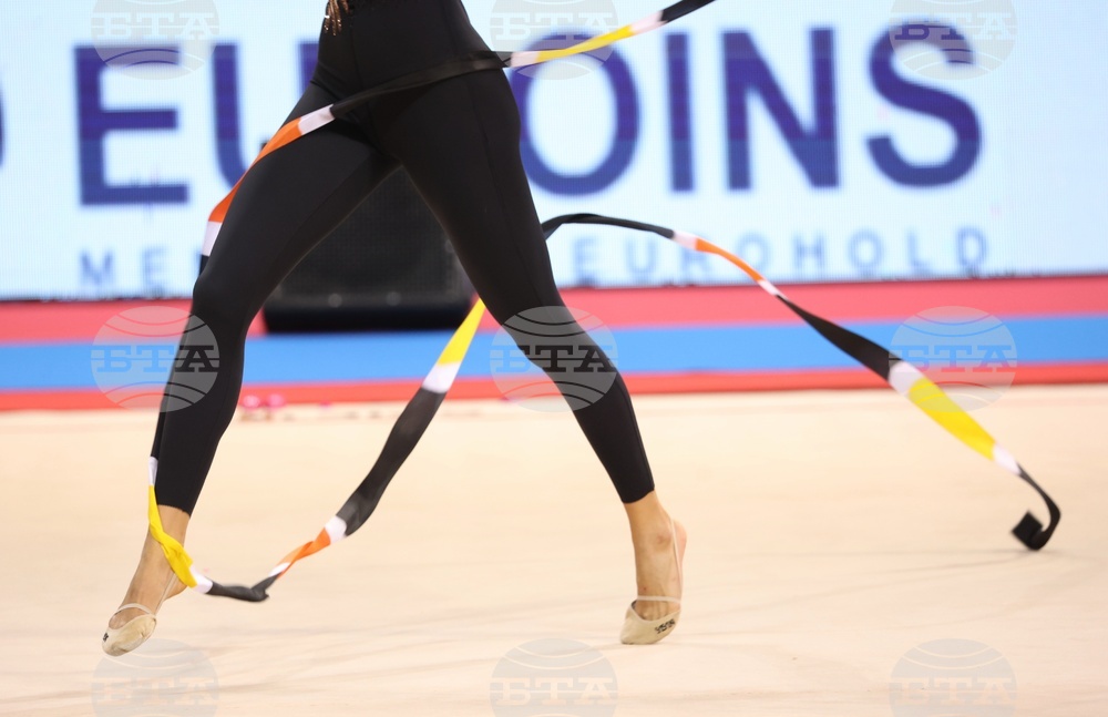 Световна купа по художествена гимнастика