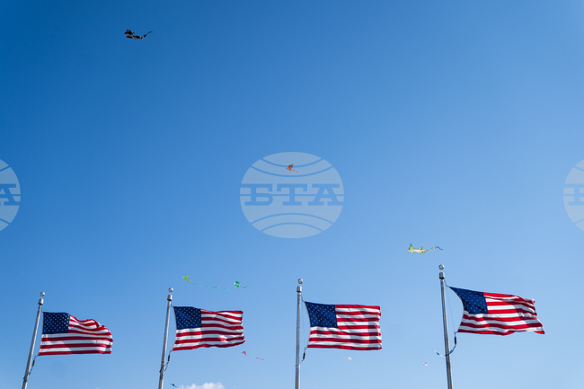 Cherry Blossom Kite Festival