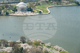 Cherry Blossom Kite Festival