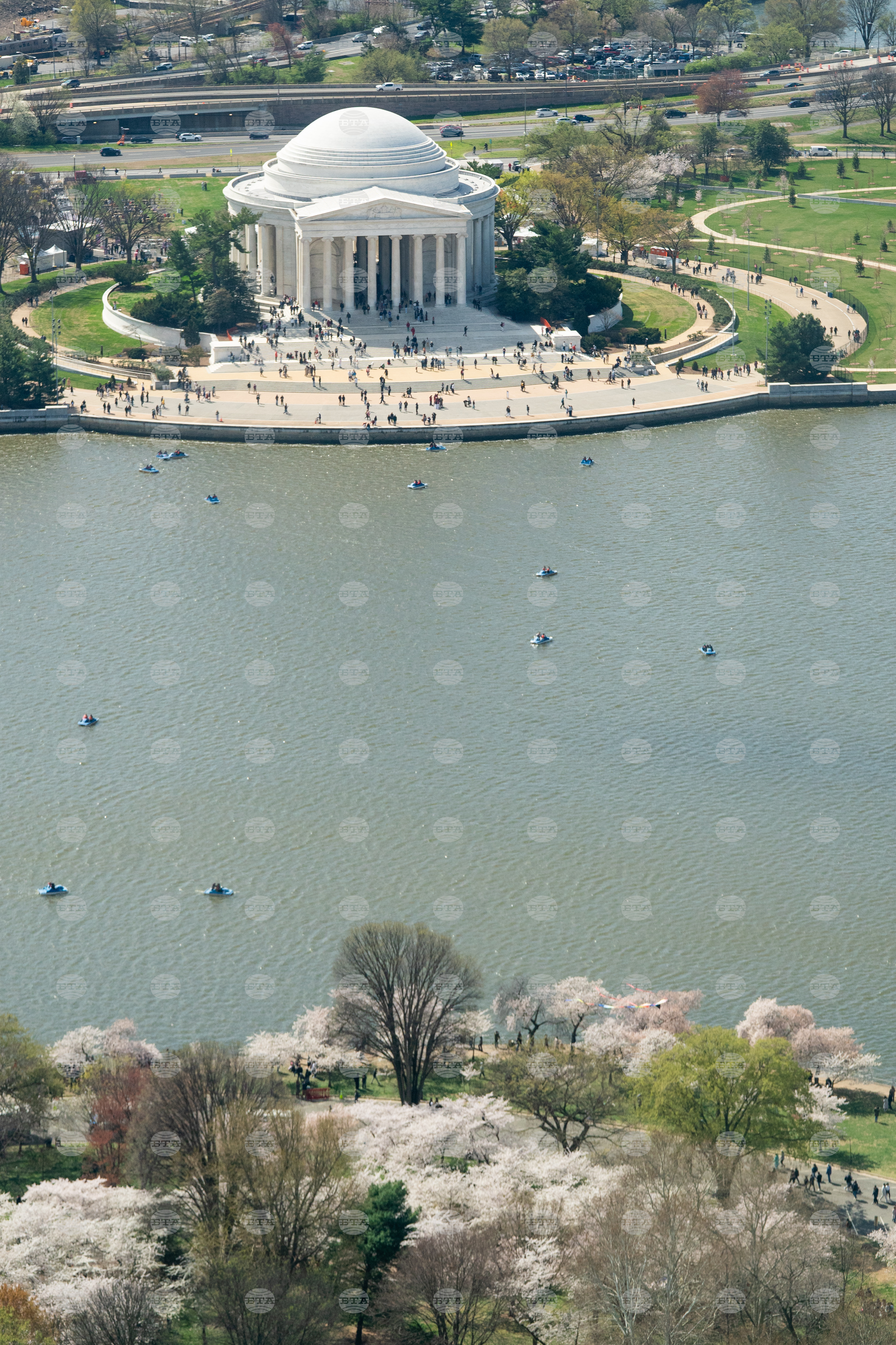 Cherry Blossom Kite Festival