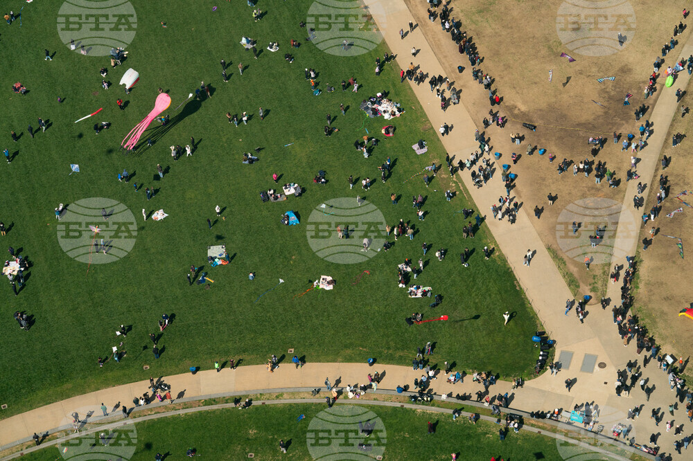 Cherry Blossom Kite Festival