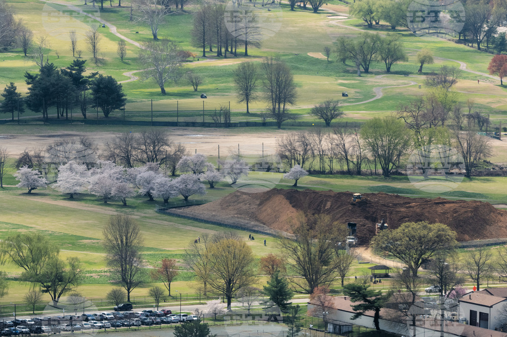 Cherry Blossom Kite Festival