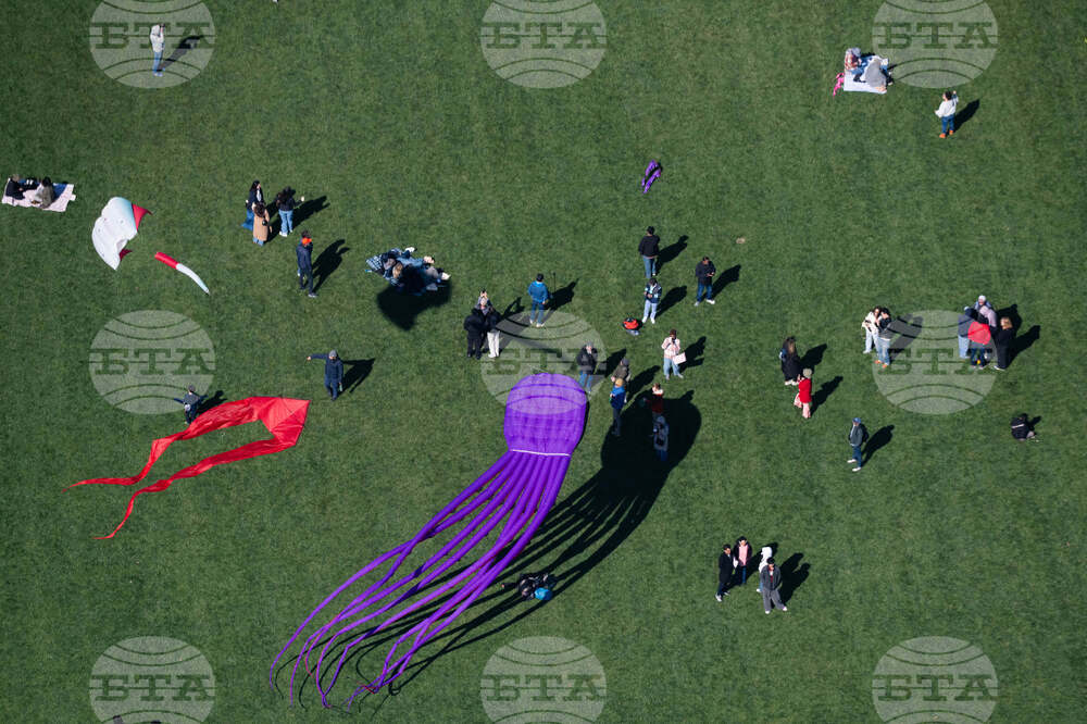 Cherry Blossom Kite Festival