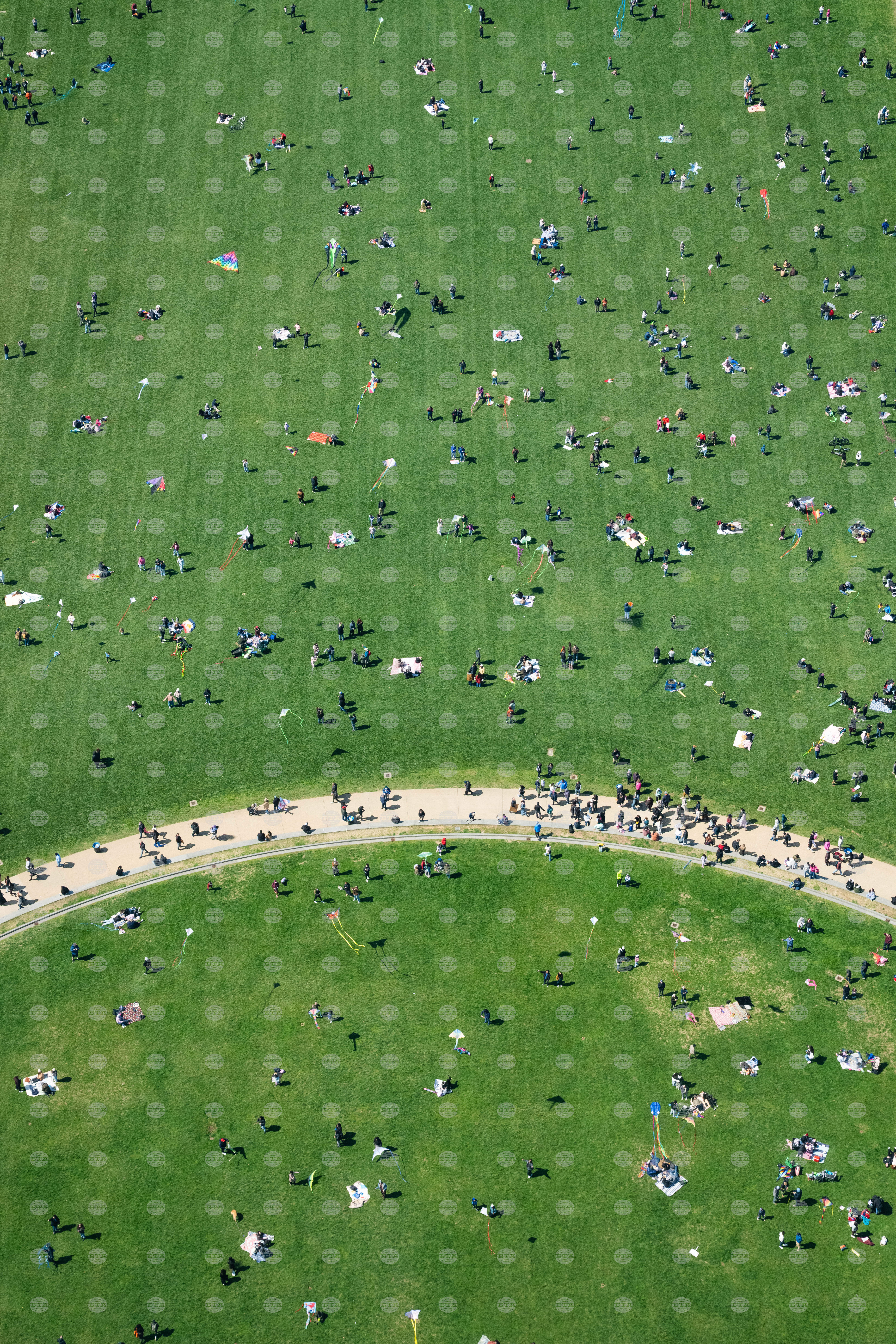 Cherry Blossom Kite Festival