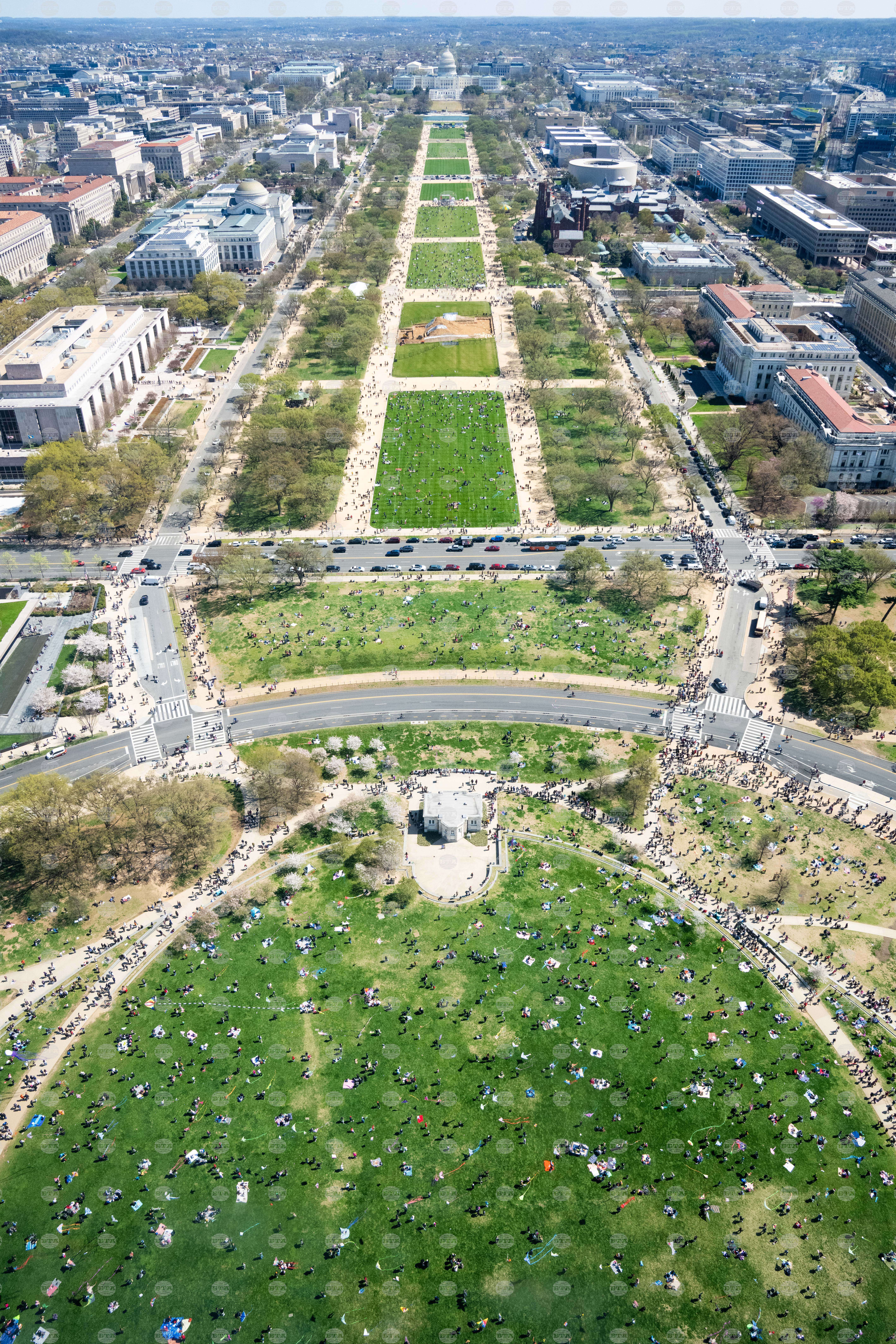 Cherry Blossom Kite Festival