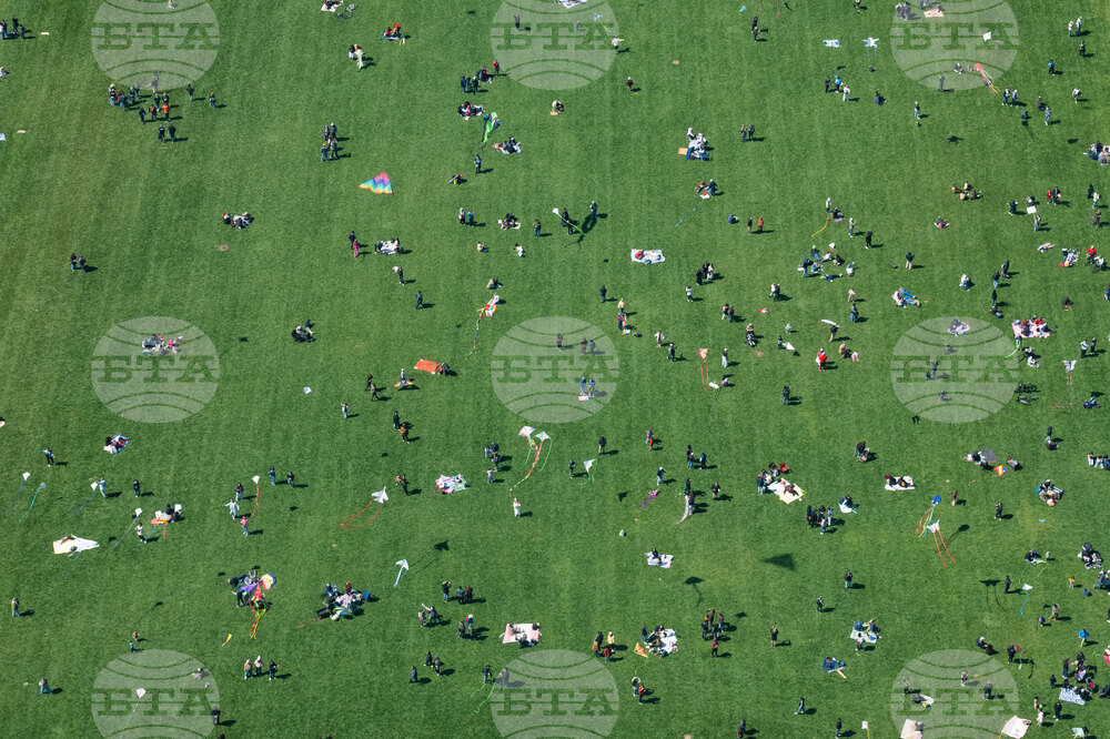 Cherry Blossom Kite Festival