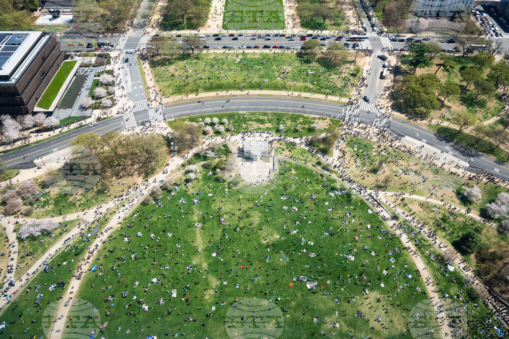 Cherry Blossom Kite Festival