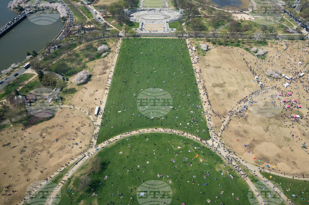 Cherry Blossom Kite Festival