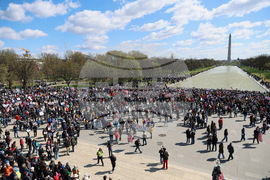 No Kings Protests Washington