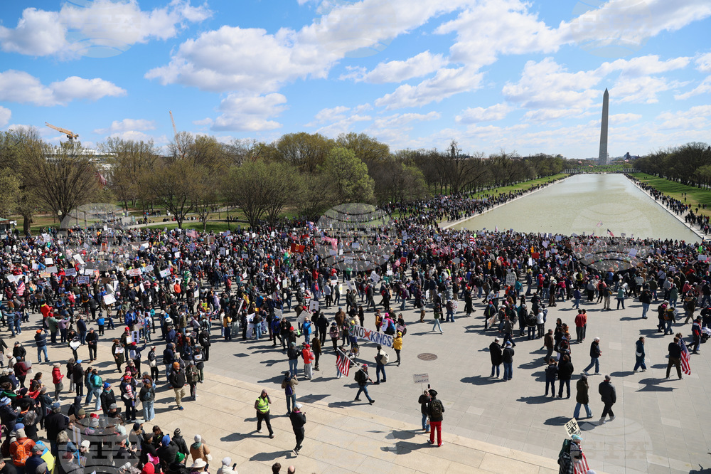 No Kings Protests Washington