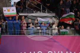 Световна купа по художествена гимнастика