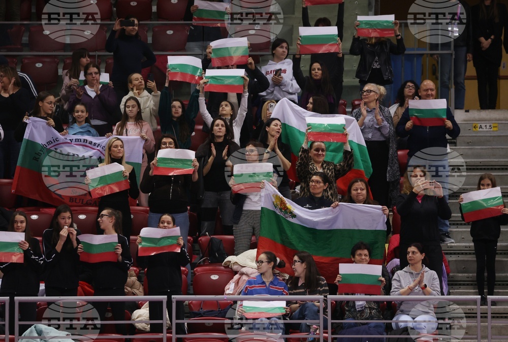 Световна купа по художествена гимнастика