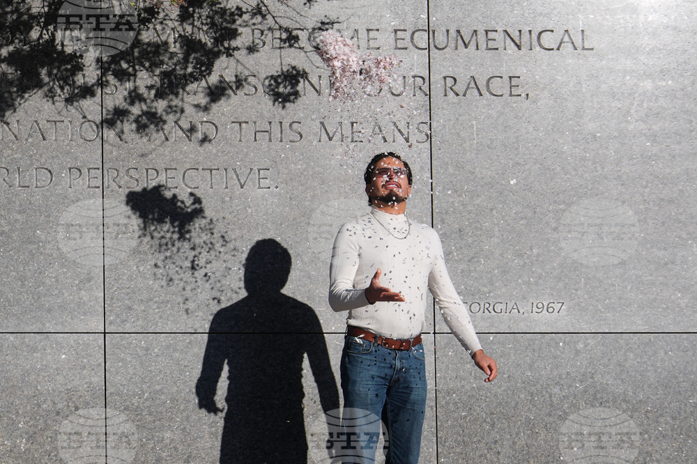 Washington Cherry Blossoms