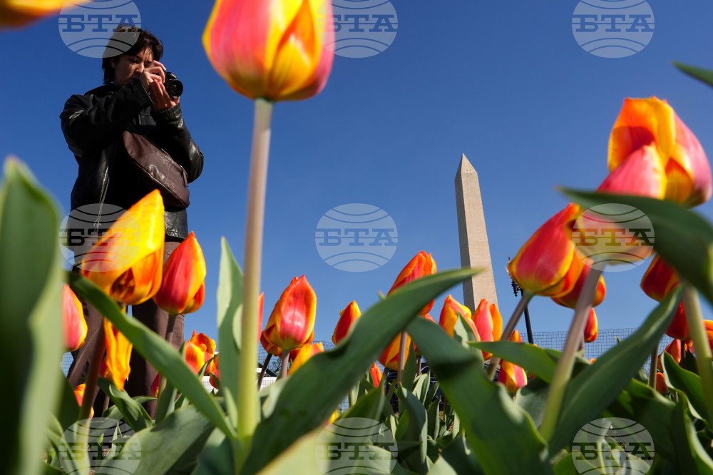 Washington Daily Life