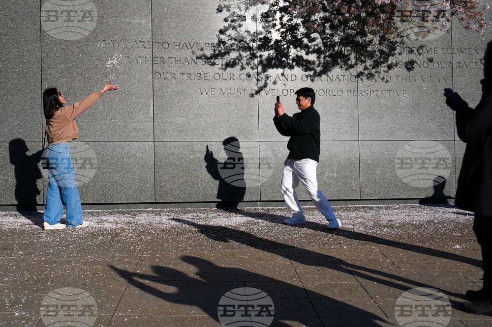 APTOPIX Washington Cherry Blossoms