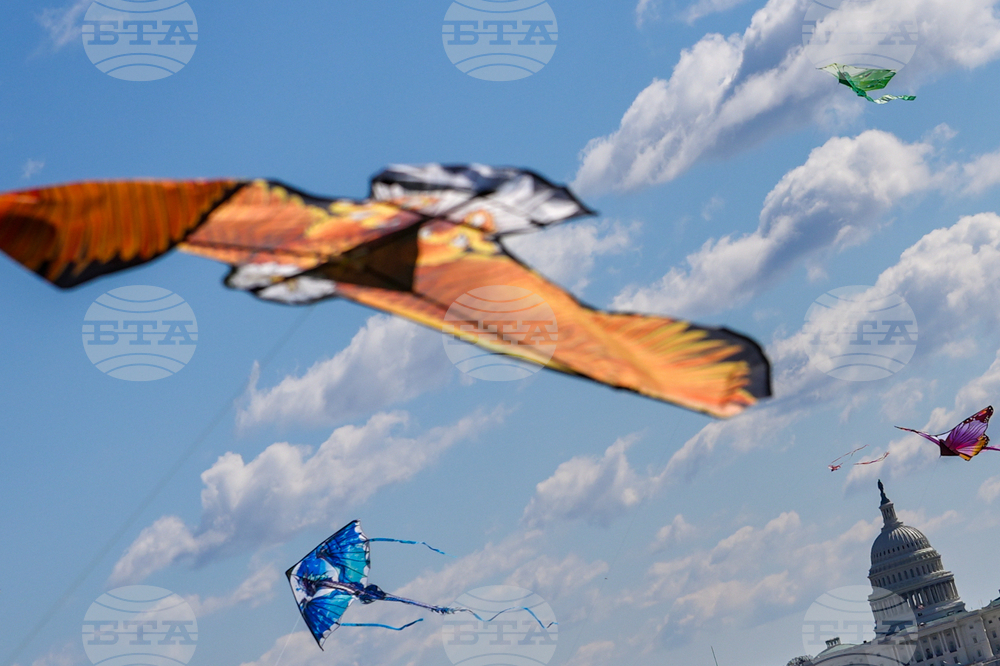 Cherry Blossom Kite Festival