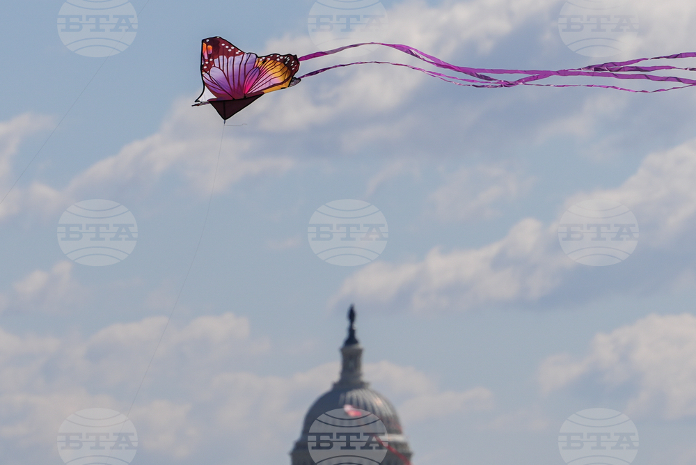 Cherry Blossom Kite Festival