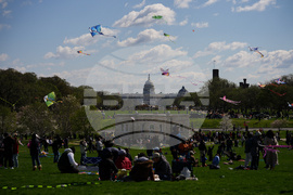 Cherry Blossom Kite Festival