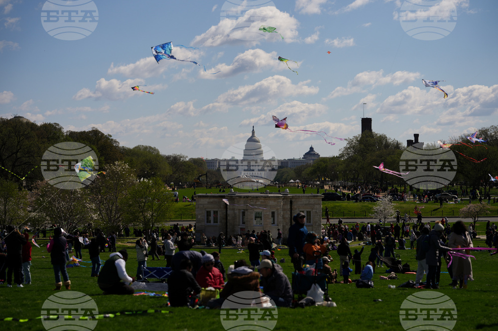 Cherry Blossom Kite Festival