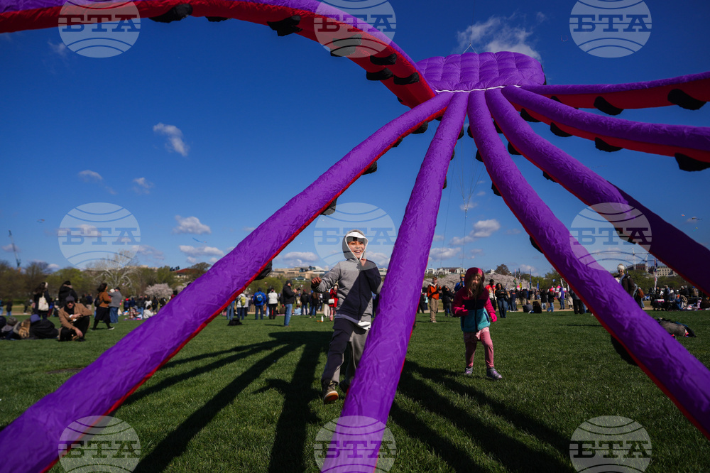 Cherry Blossom Kite Festival