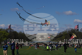 Cherry Blossom Kite Festival