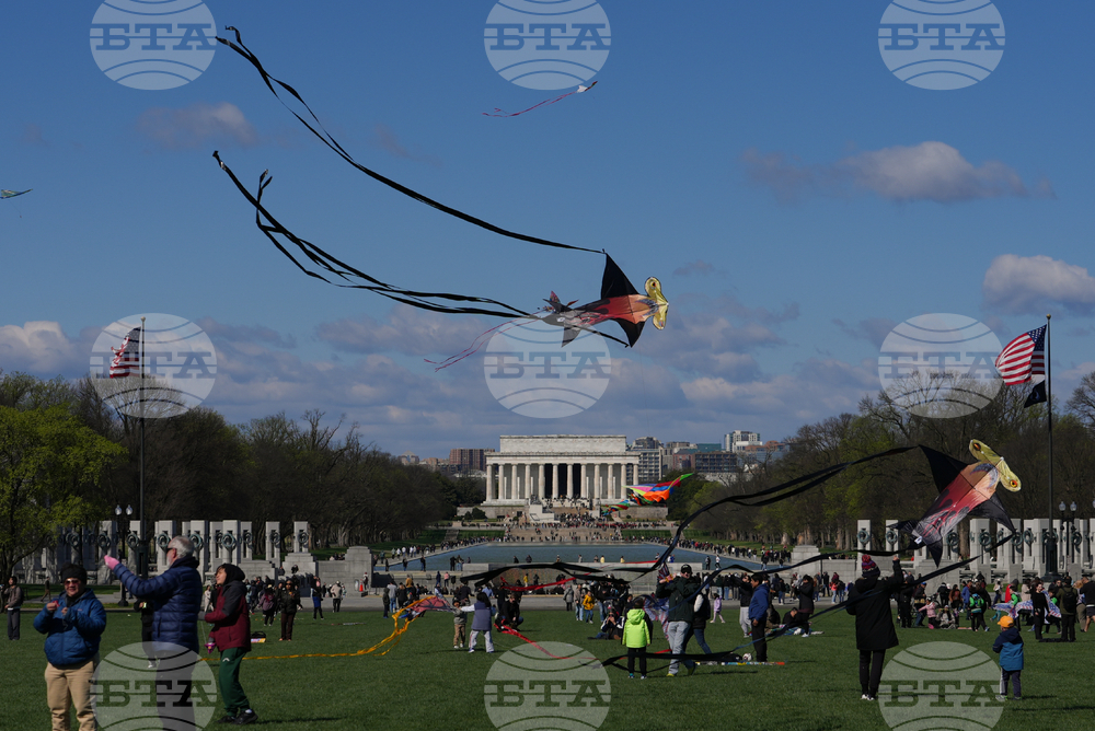 Cherry Blossom Kite Festival