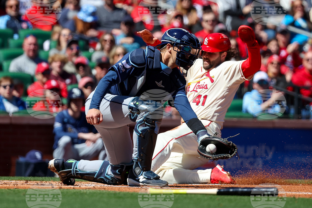Rays Cardinals Baseball