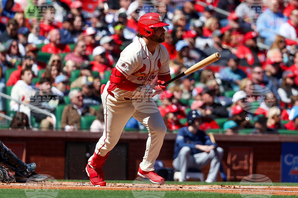 Rays Cardinals Baseball