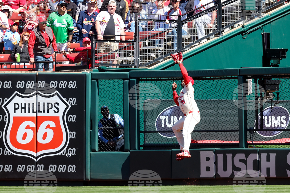 Rays Cardinals Baseball