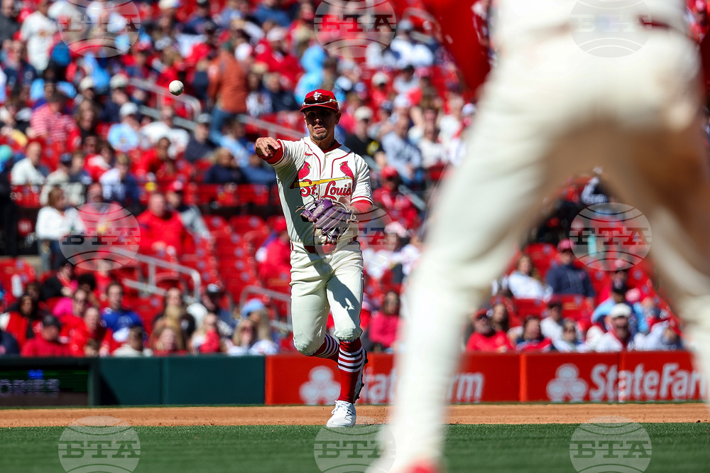 Rays Cardinals Baseball