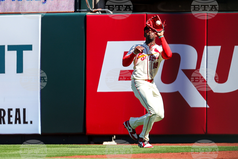 Rays Cardinals Baseball