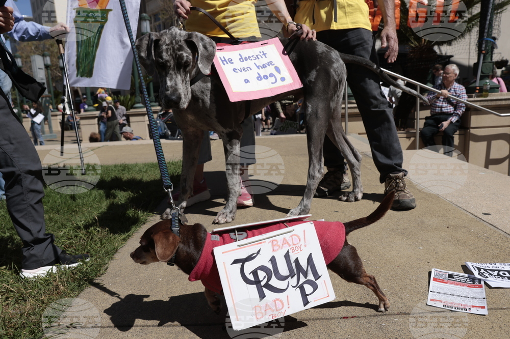 No Kings Protest California