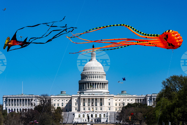 Blossom Kite Festival