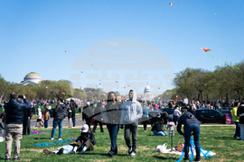 Cherry Blossom Kite Festival