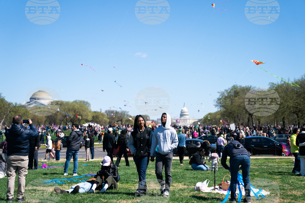 Cherry Blossom Kite Festival