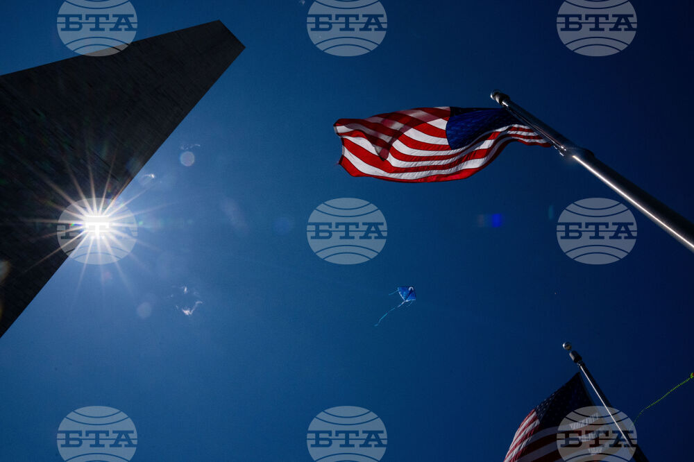 Cherry Blossom Kite Festival