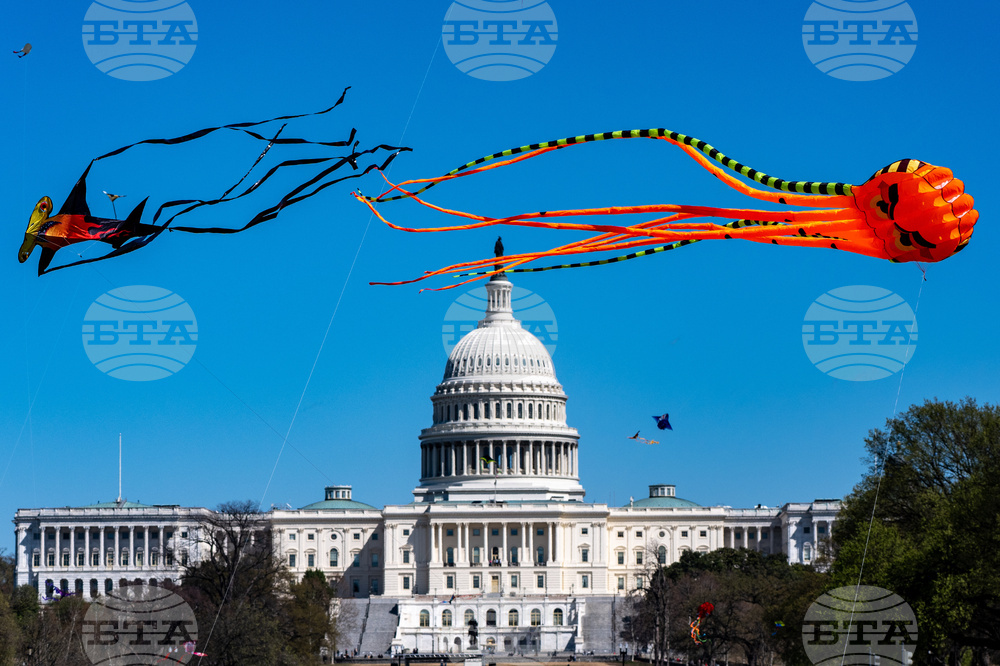Cherry Blossom Kite Festival