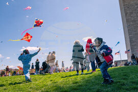 Cherry Blossom Kite Festival