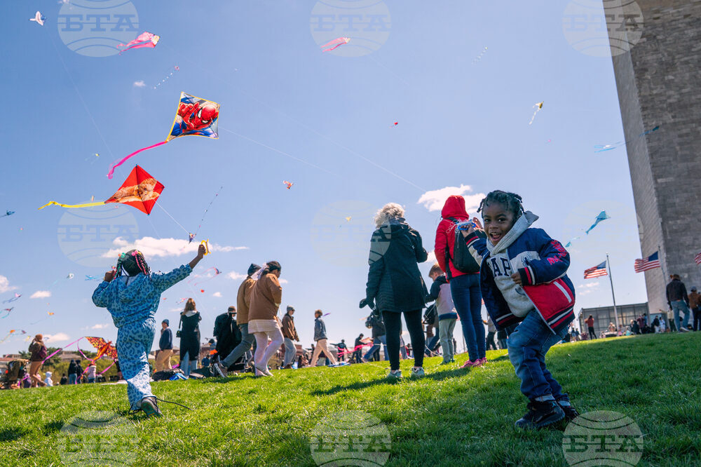 Cherry Blossom Kite Festival