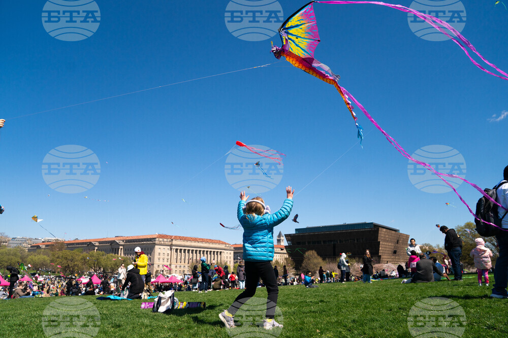 Cherry Blossom Kite Festival