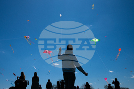 Cherry Blossom Kite Festival