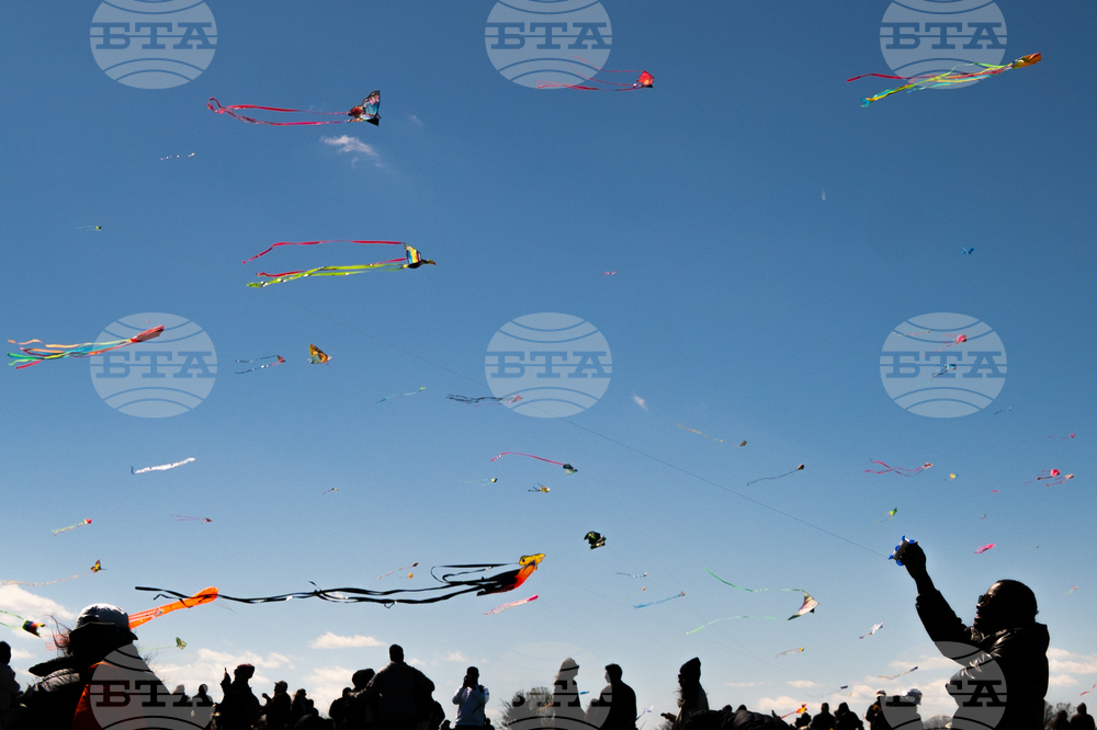 Cherry Blossom Kite Festival