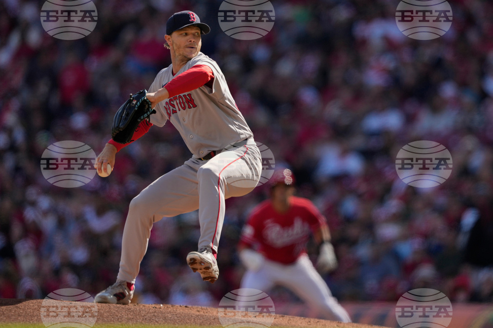 Red Sox Reds Baseball