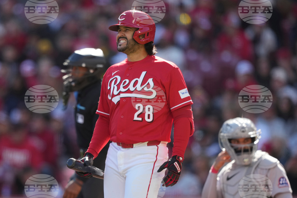 Red Sox Reds Baseball