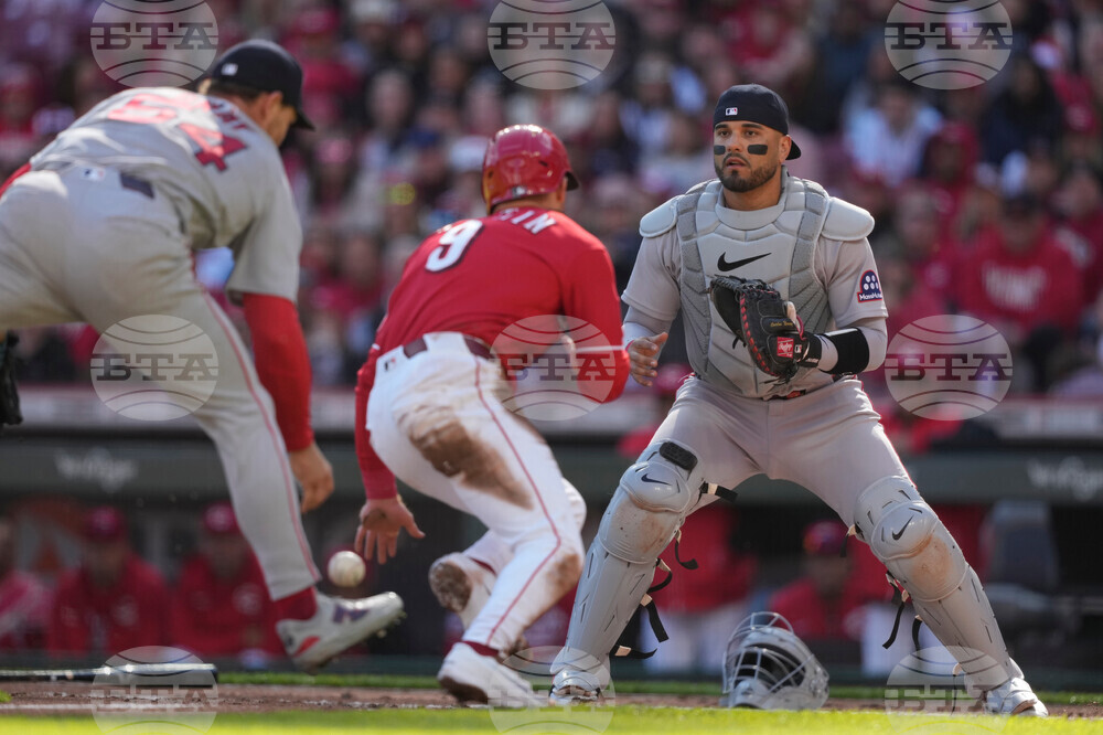 Red Sox Reds Baseball