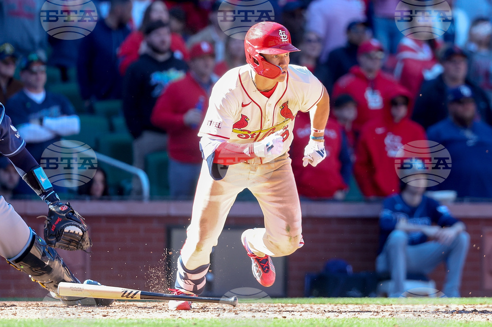 Rays Cardinals Baseball