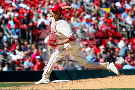 Rays Cardinals Baseball