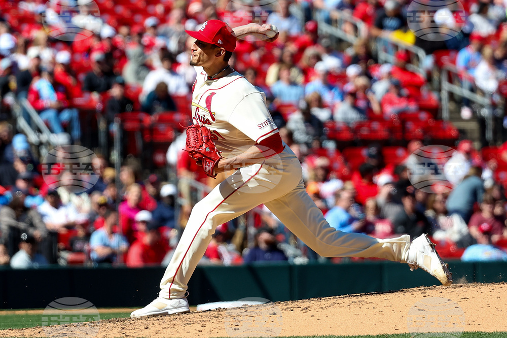 Rays Cardinals Baseball