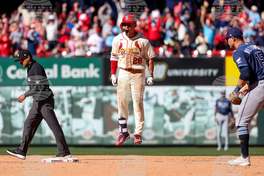 APTOPIX Rays Cardinals Baseball